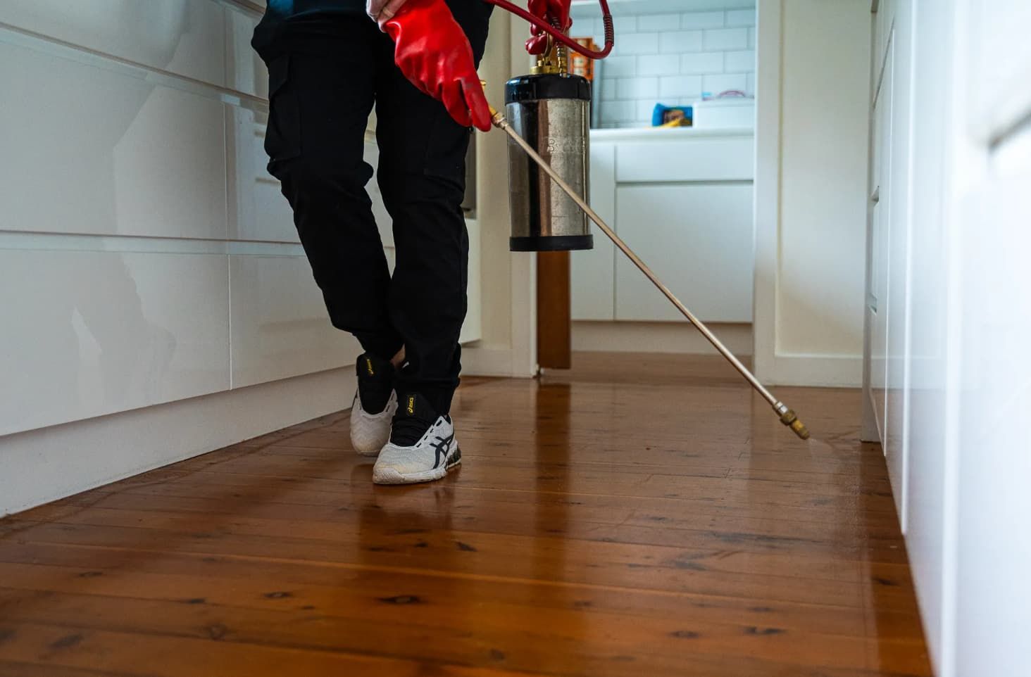 Termite Treatment | Premier Pest Control