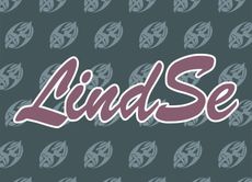 Logotipo estilizado de “LindSe” en rosa y blanco sobre un fondo gris con estampado.