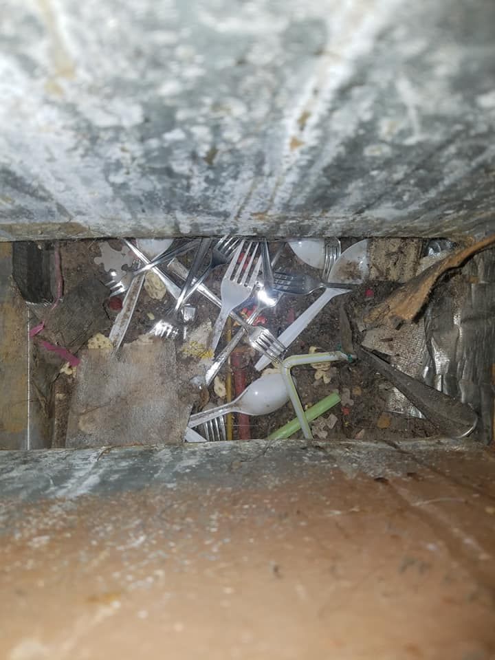 Cleaning Services Detroit Lakes, MN All Star Cleaning Service