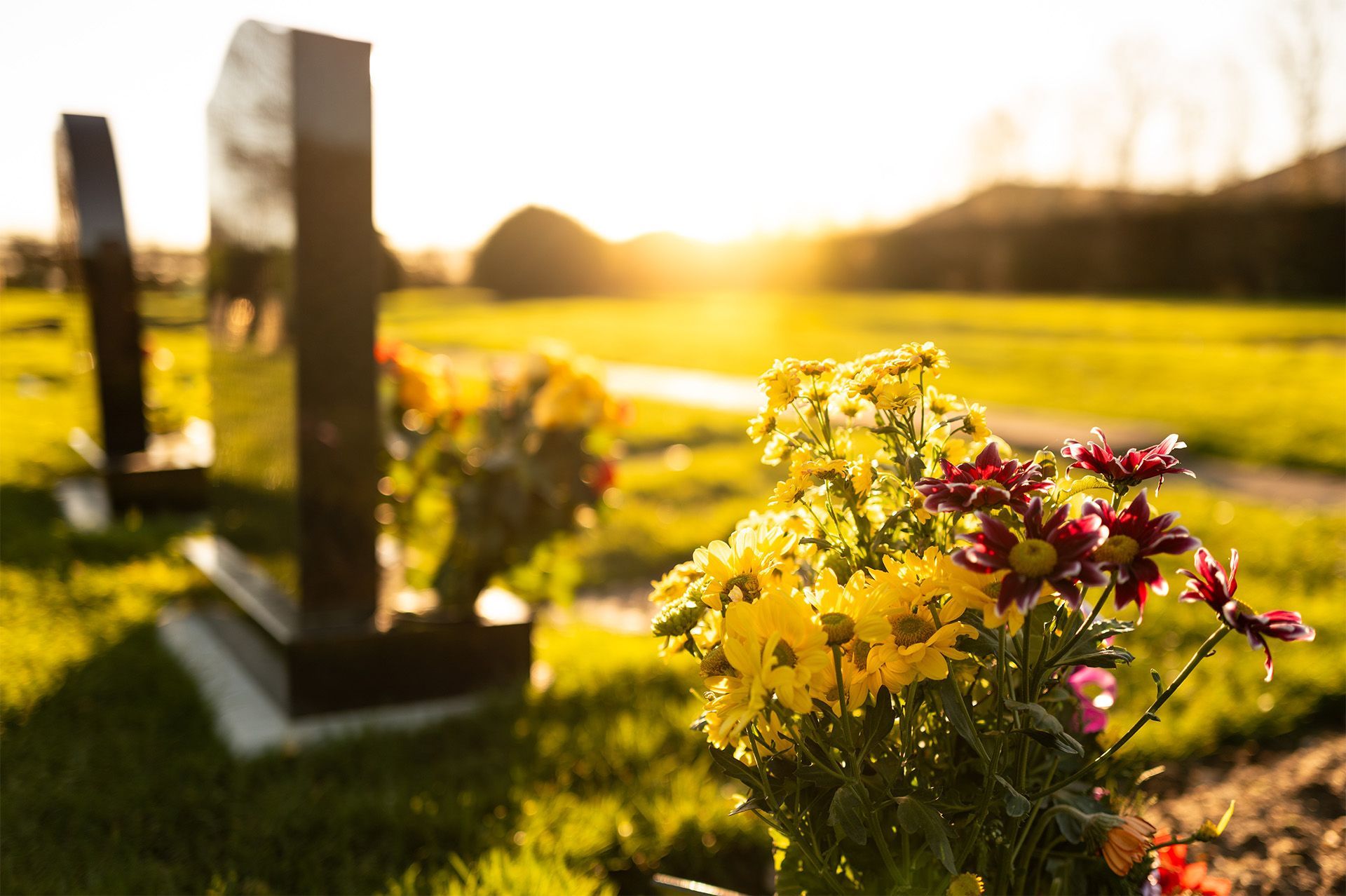 Headstones in a sunlit graveyard with yellow and red flowers in the foreground.