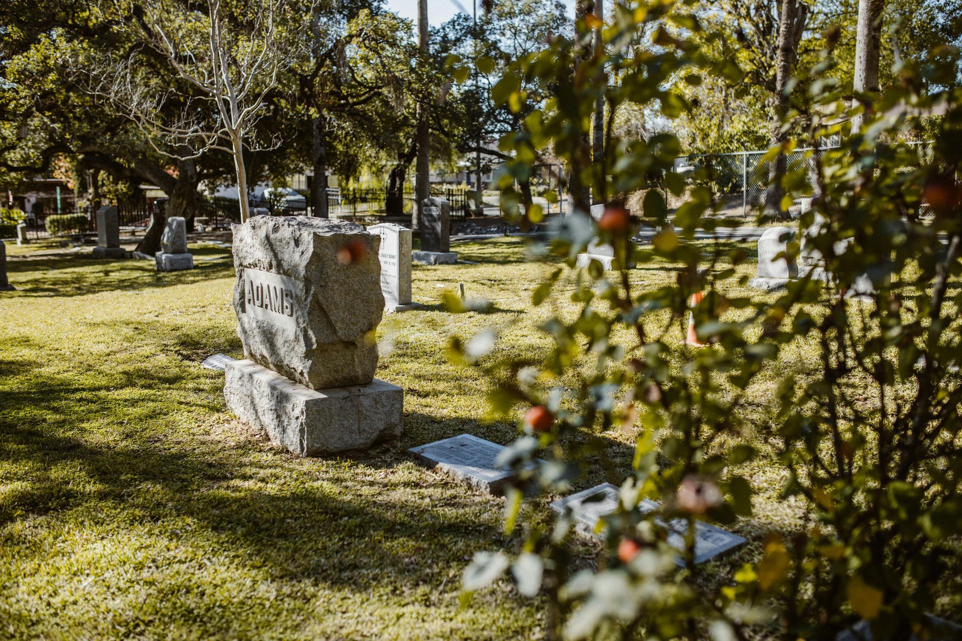 Gravestone in a sunlit cemetery, with blurred foliage in the foreground and other headstones in the background.