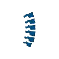 ORTOPEDIA