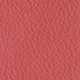 fuchsia color