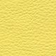 canary color