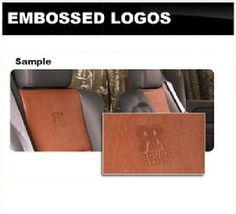 A picture of embossed logos on a car seat