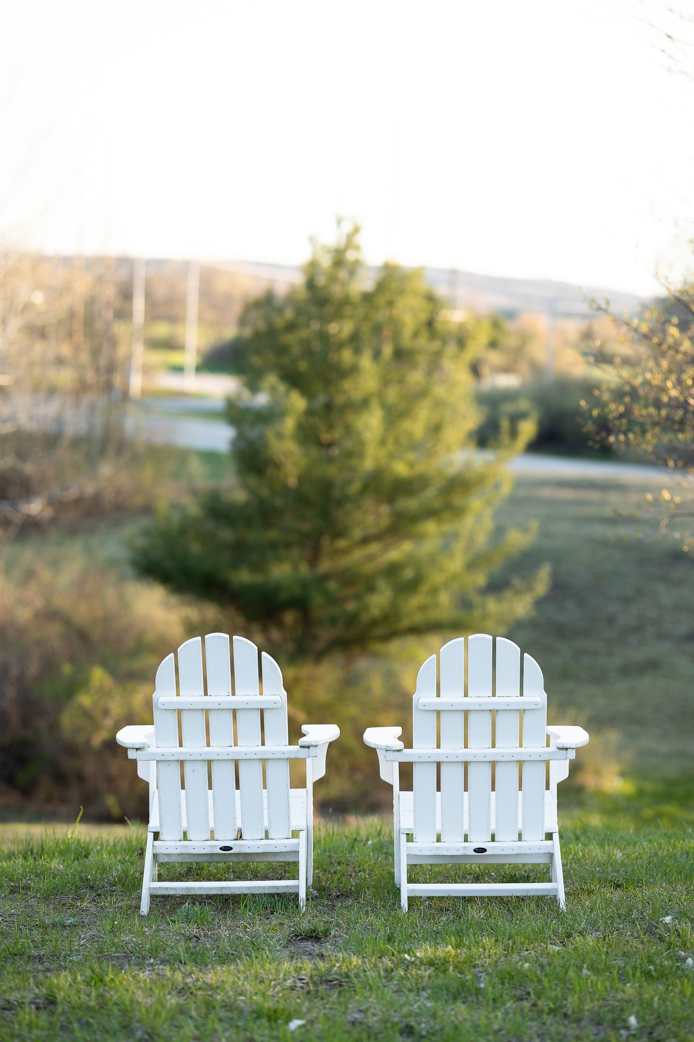 Two white adirondack chairs are sitting on top of a lush green field.