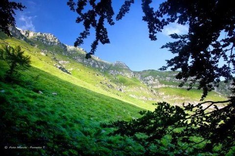 Mountain panorama