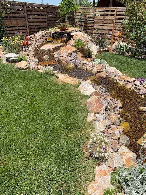 A backyard stream and waterfall feature bordered by rocks and plants, with green grass.