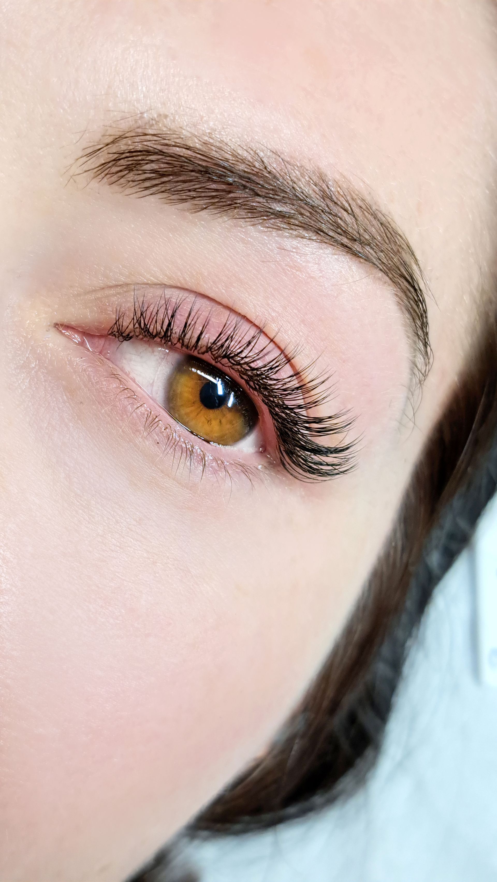 Close-up of a brown eye with long lashes, pink eyeshadow, and a groomed eyebrow.