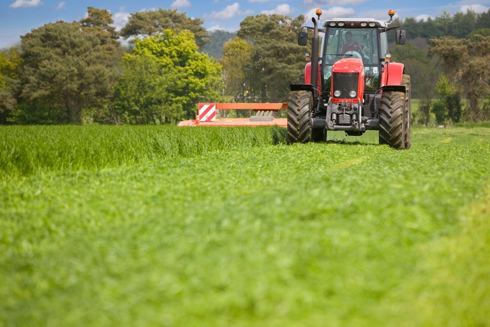 Mowing Tall Grass — J.A. Slashing in Cairns, QLD