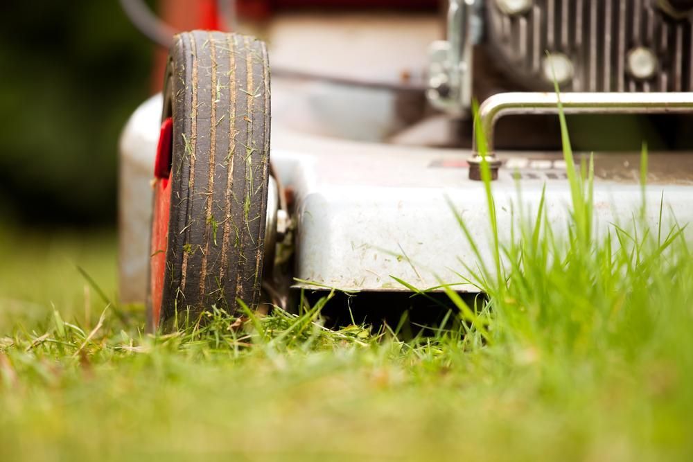 A Person is Using a Lawn Mower to Cut the Grass — J.A. Slashing in Palm Cove, QLD
