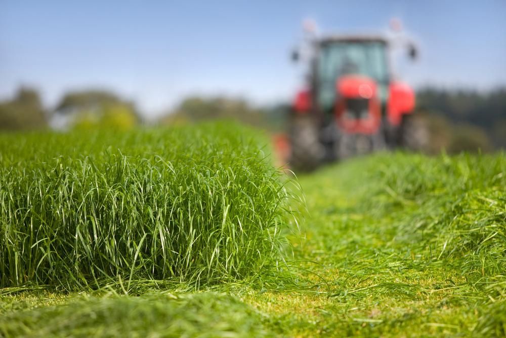 A Red Tractor is Cutting Grass in a Field — J.A. Slashing in Smithfield, QLD