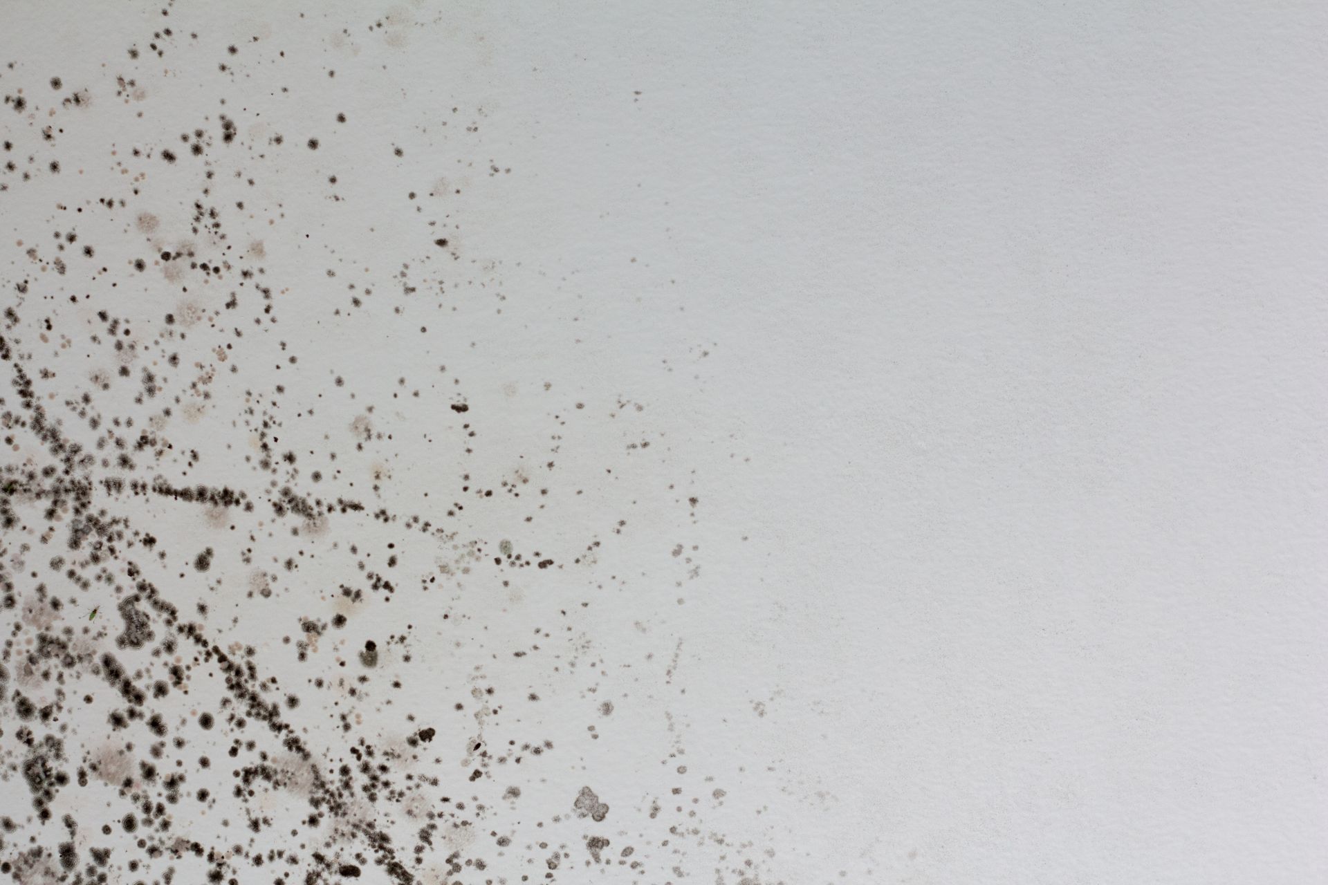 White wall corner with scattered dark specks or dirt marks on the left side