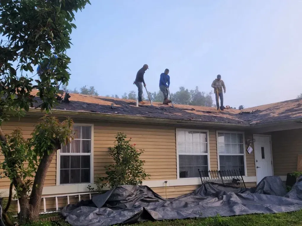 Vega Roofing Solutions