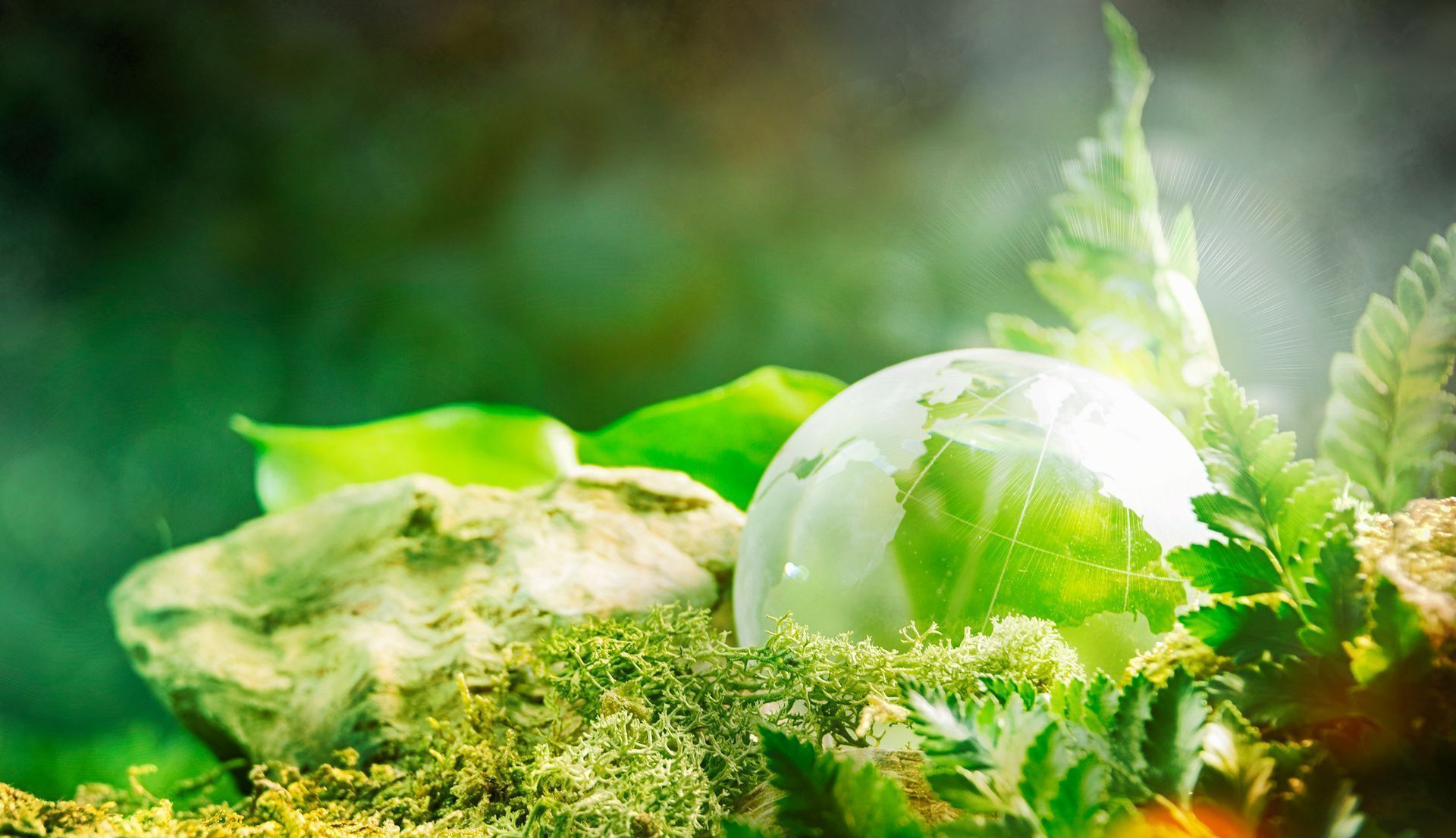 Una sfera di vetro poggia su un terreno muschioso, tra rocce e rigogliose foglie di felce verde, illuminata da una luce soffusa ed eterea.