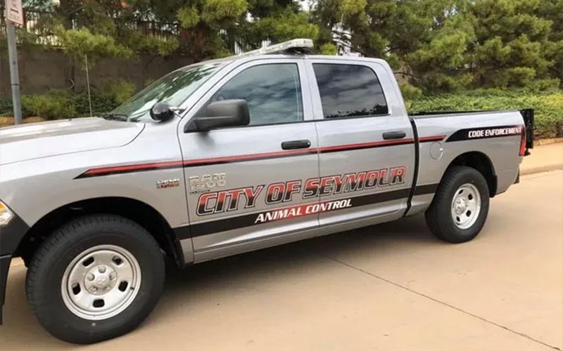 Vehicle Graphics
