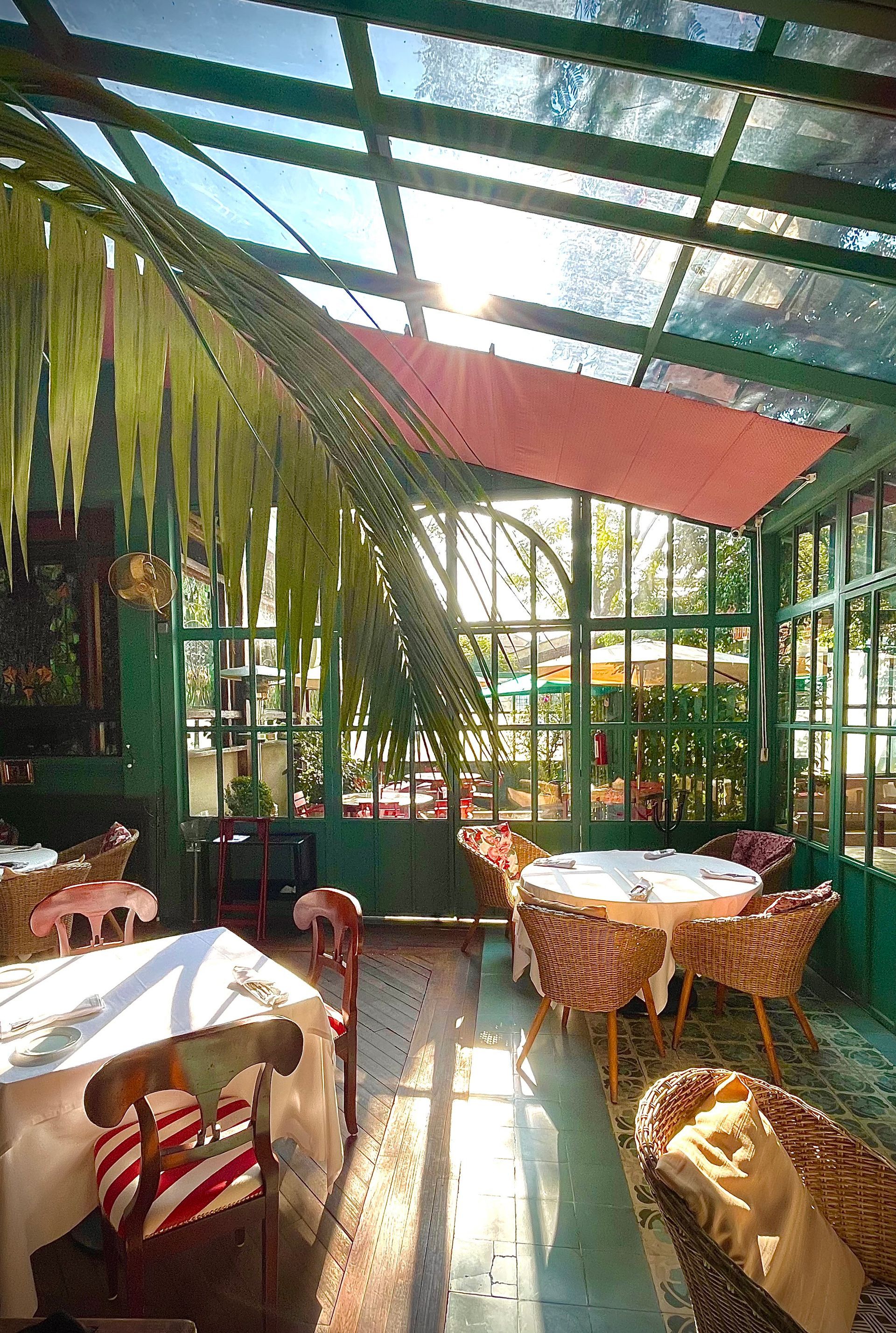Cafetería con terraza soleada, sillas de mimbre, mesas blancas y exuberantes plantas verdes bajo un techo de cristal.