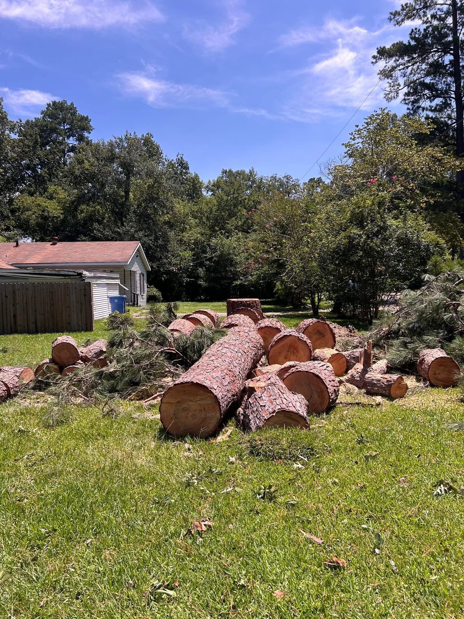 A pile of logs sitting on top of a lush green field.
