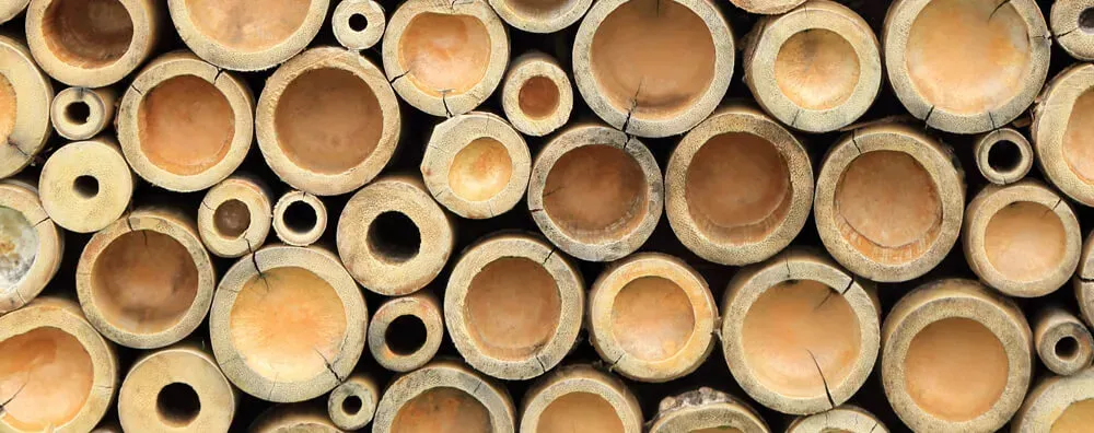 Bamboo paper: tree-free and sustainable.