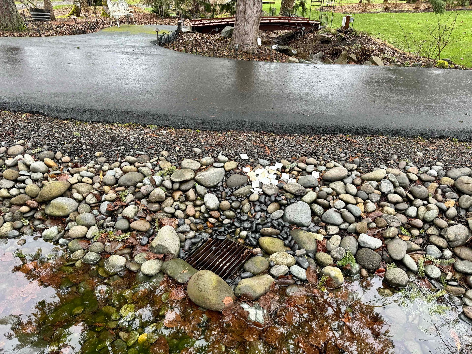 Proline | Storm Drain Back ups Felida, WA