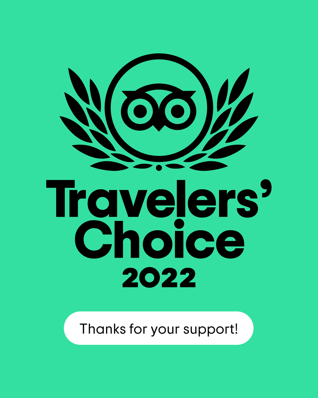 travelers choice 2022 The logo for travelers choice 2022 is on a green background.