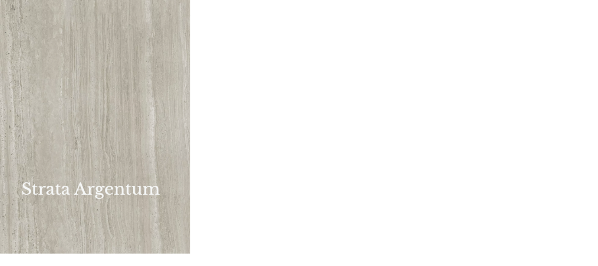 A picture of a piece of stone with the words Strata Argentum on it.