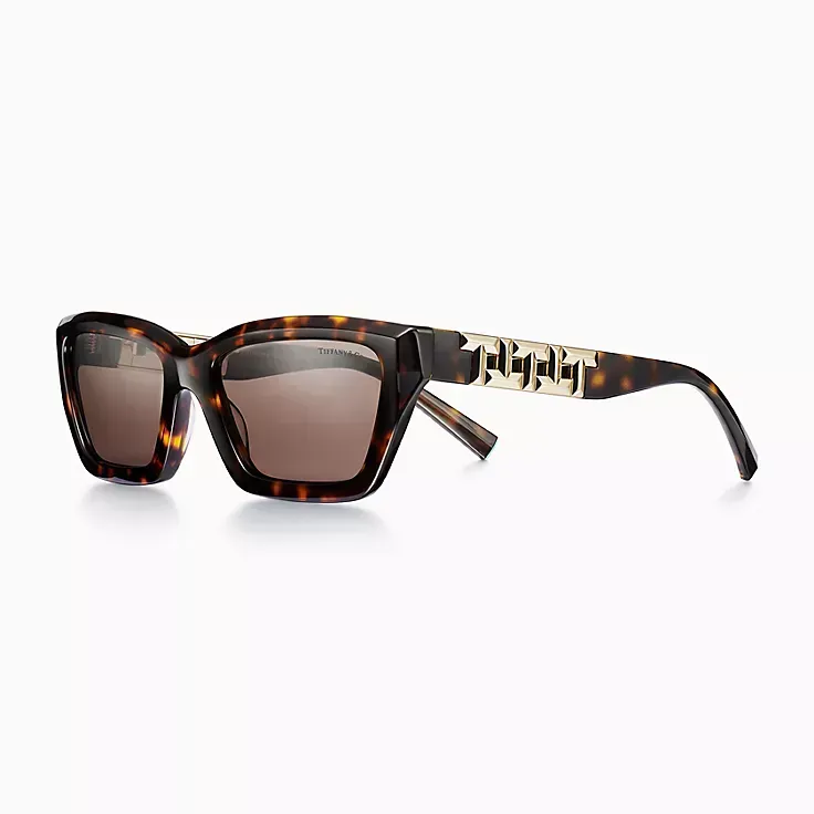 A pair of sunglasses with a chain on the side on a white background.