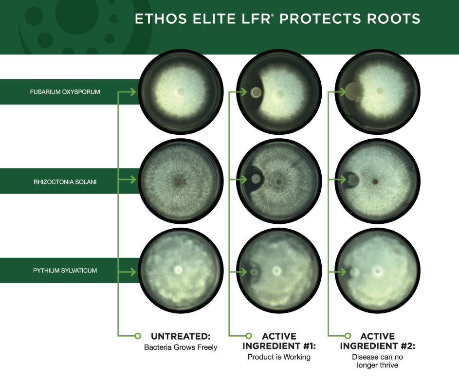 Diagram showing how Ethos Elite LFR protects roots from bacteria.