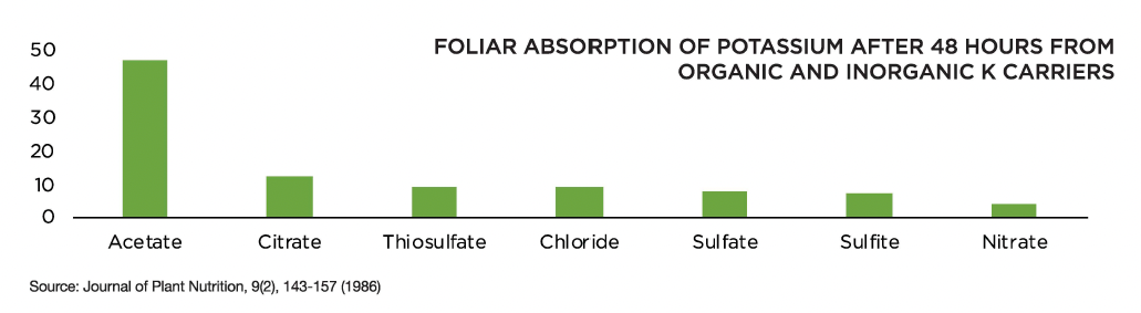 A bar graph displaying foliar absorption of potassium