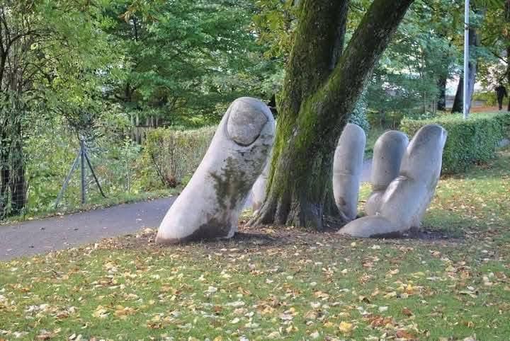 A statue of a hand is sitting under a tree in a park.