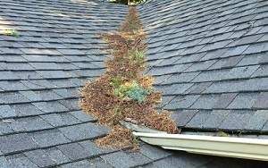A close up of a roof with a hole in it and a gutter.