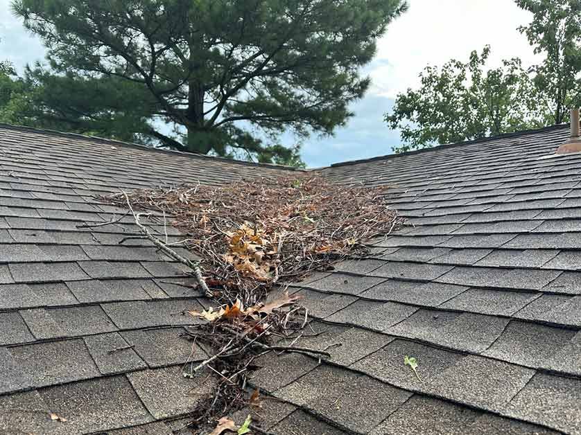 A bird nest is sitting on the roof of a house.