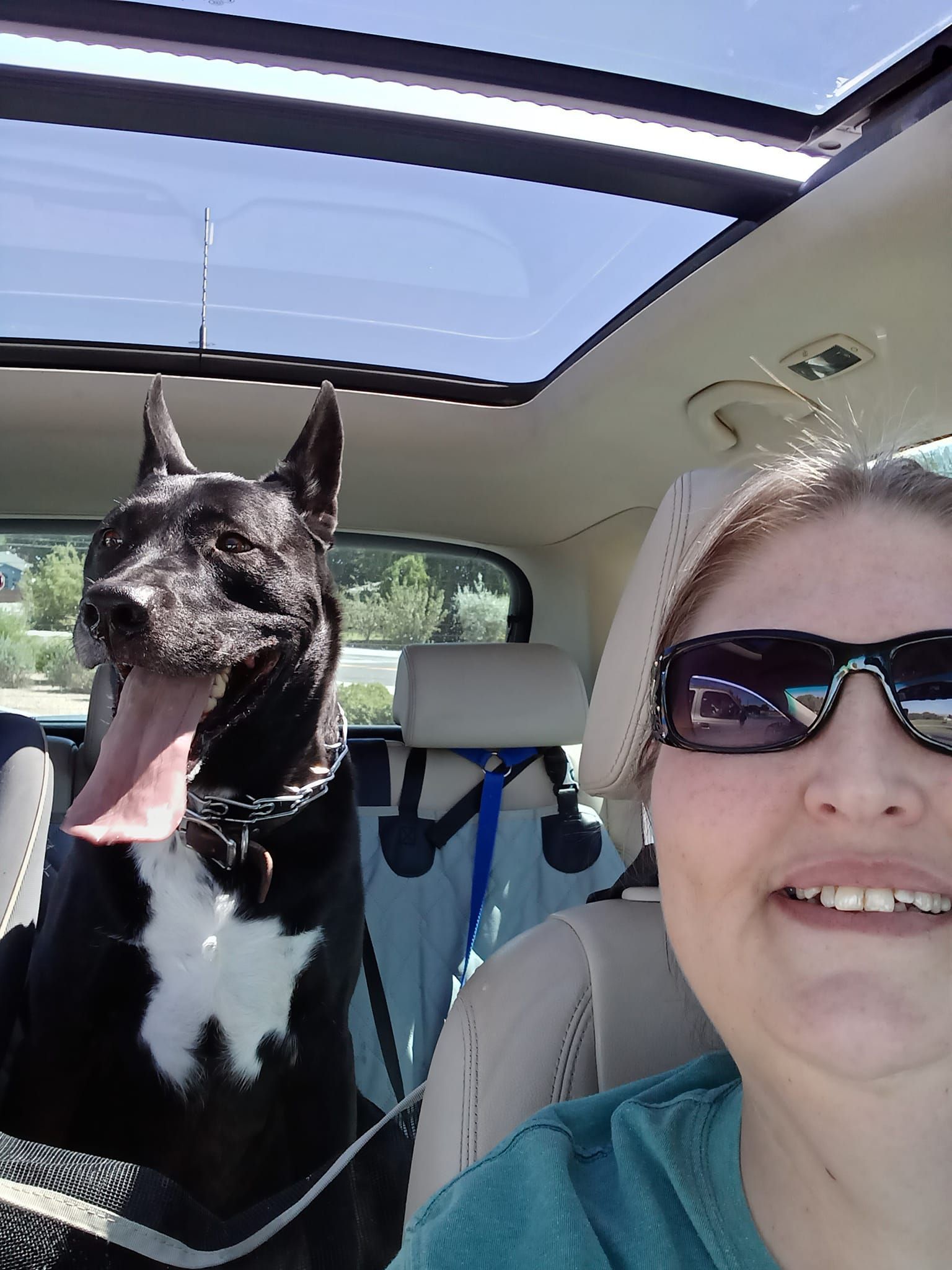 Dog with long pink tongue and woman in sunglasses in a car with open sunroof.
