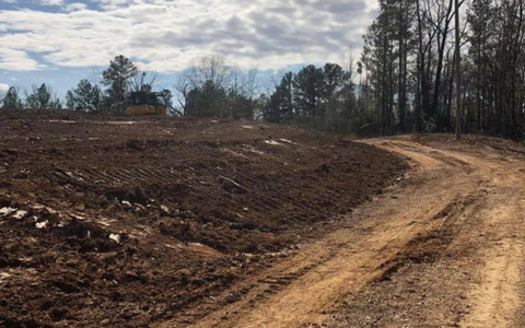 Dirt road curving through a cleared wooded area under a cloudy sky