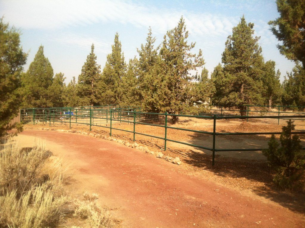 Red dirt path through a field with pine trees, enclosed by a green fence under a blue sky.