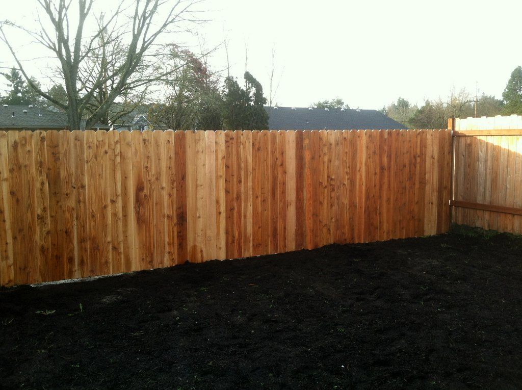 Wooden fence in backyard with dark mulch.