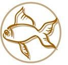 Gold line-art fish logo inside a circle on a white background