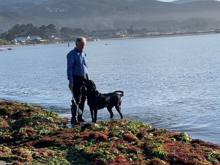 Person standing with a black dog by a rocky shoreline with calm water and distant hills