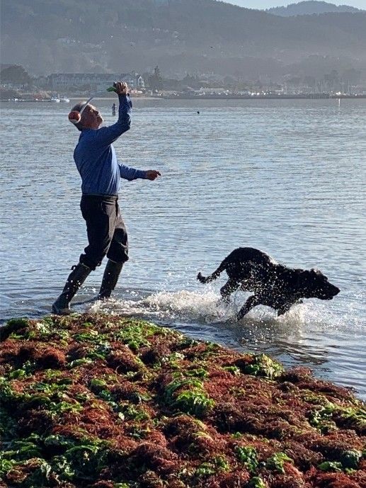 Person in blue jacket plays fetch with black dog at a rocky lakeshore, water splashing in sunlight
