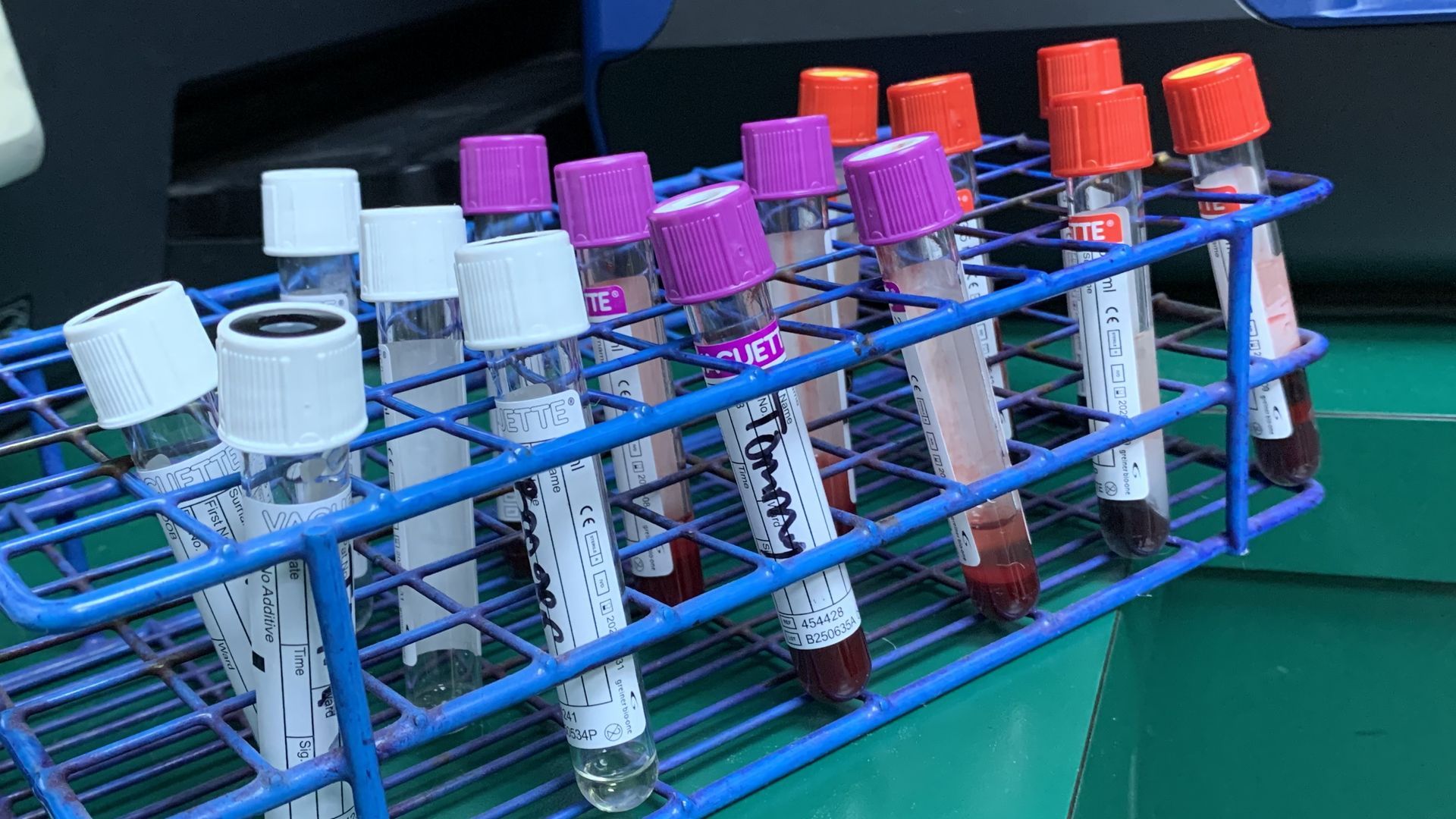 Test tubes in a blue rack with assorted colored caps and handwritten labels on a lab bench.