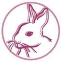 Minimal pink line-art rabbit logo inside a circle on a white background