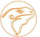 Orange line-art frog head in a circle, with an eye and open mouth.