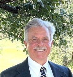 Smiling man in a dark suit and tie standing outdoors beneath leafy tree branches.