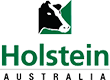Holstein