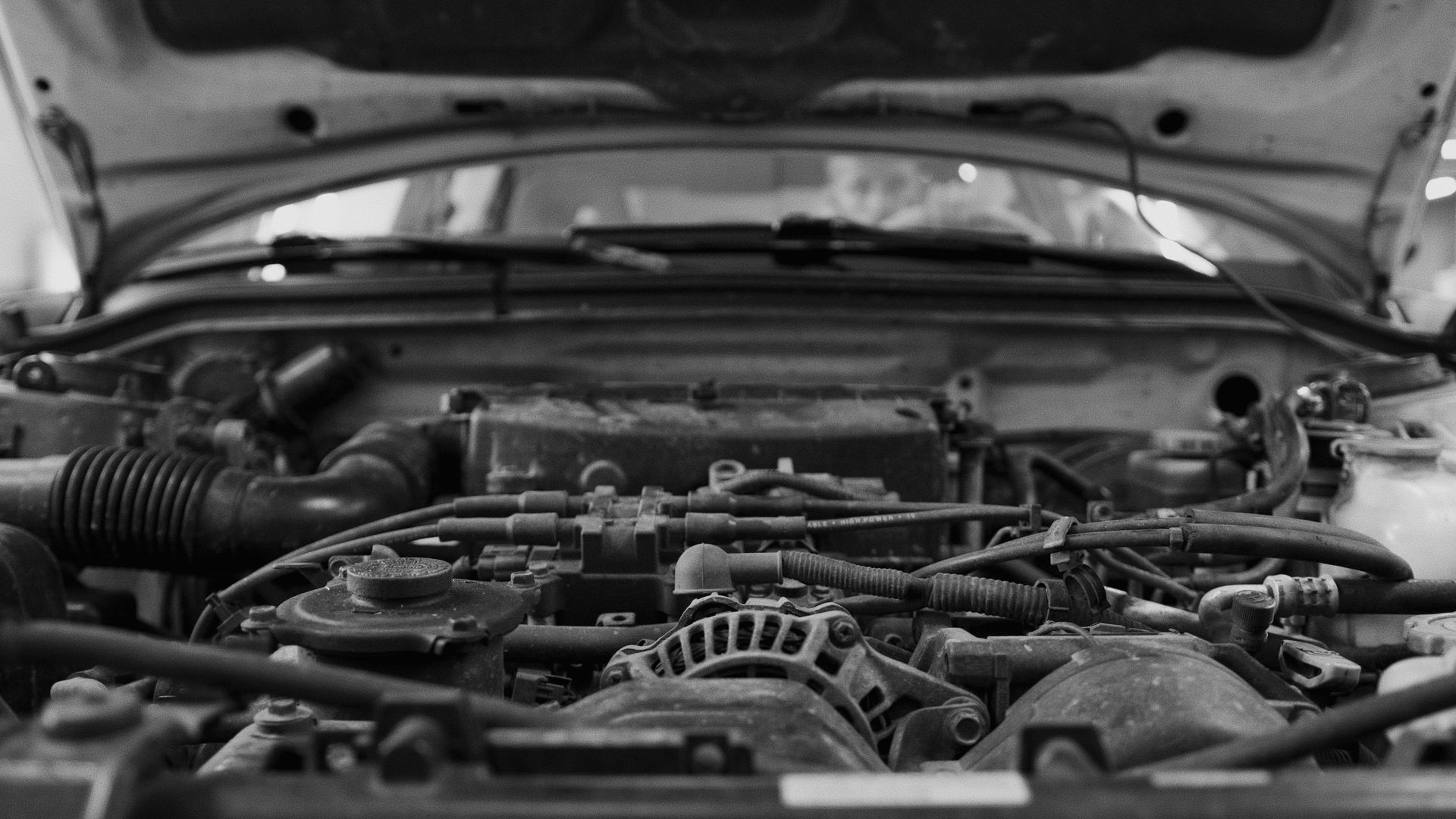 Alternator & Starter 