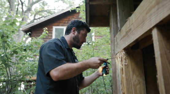 Carpenter Ant Extermination in New Jersey performed by Greenheat NJ Expert technician inspecting wo