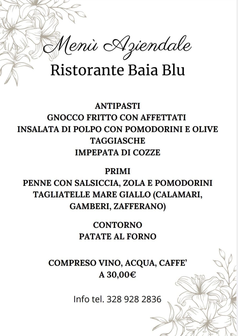 Menù del Ristorante Baia Blu: comprende antipasti, pasta, contorni, bevande a 30€.
