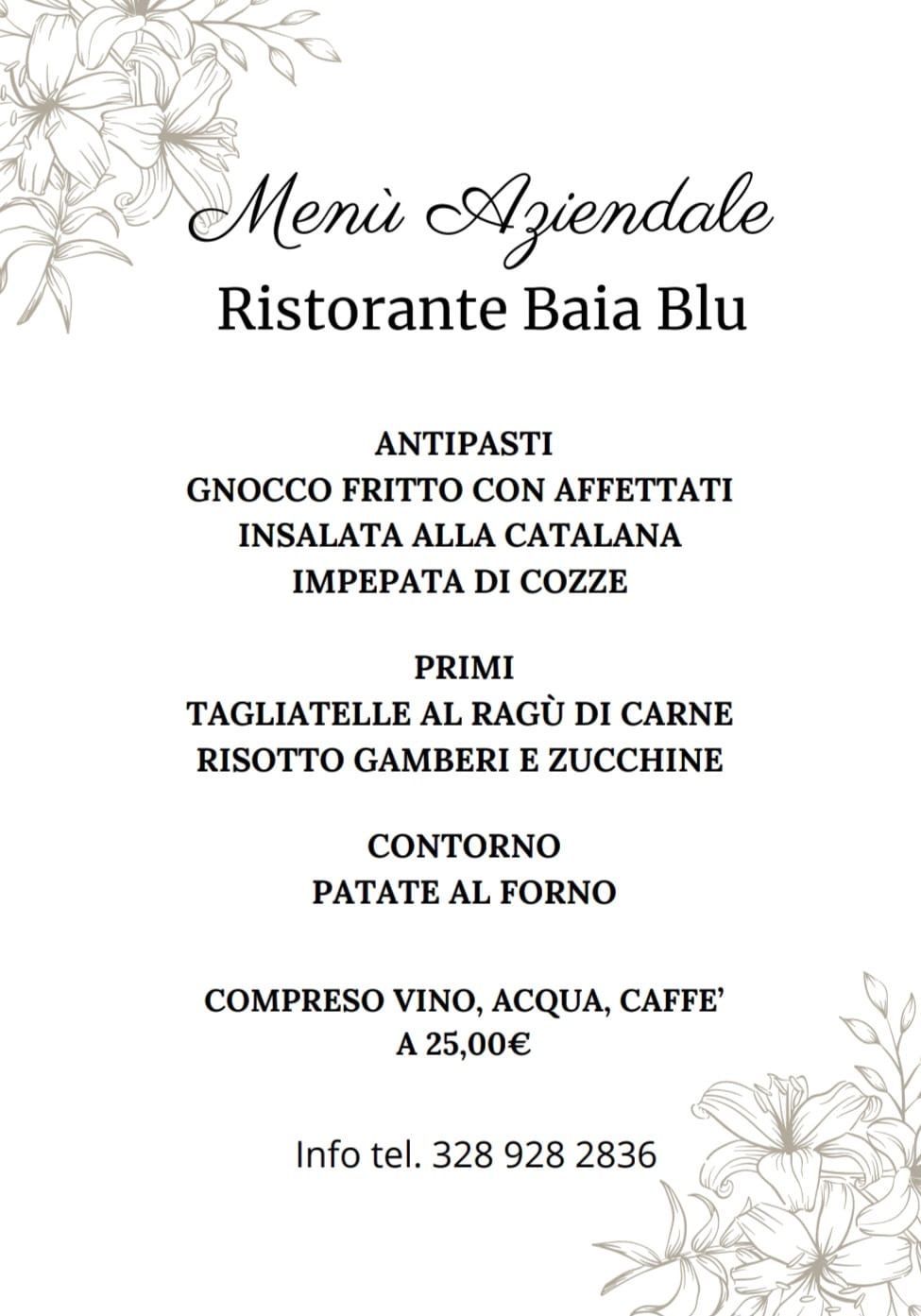 Menu from Ristorante Baia Blu: antipasti, primi, contorno, drinks, and info, all for 25€.