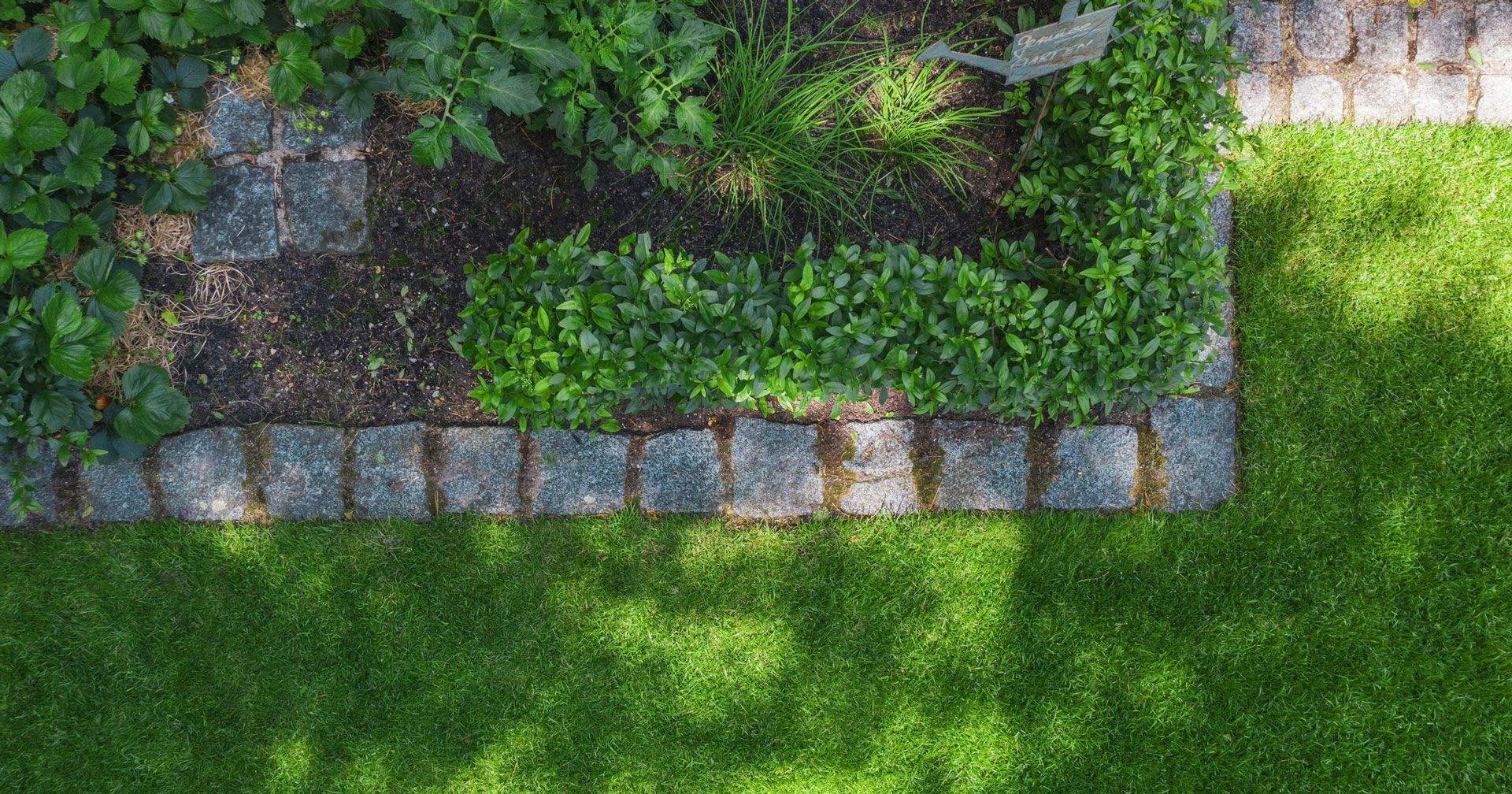 Property Clean-Ups — Redwood City, CA — Curincitas Gardening