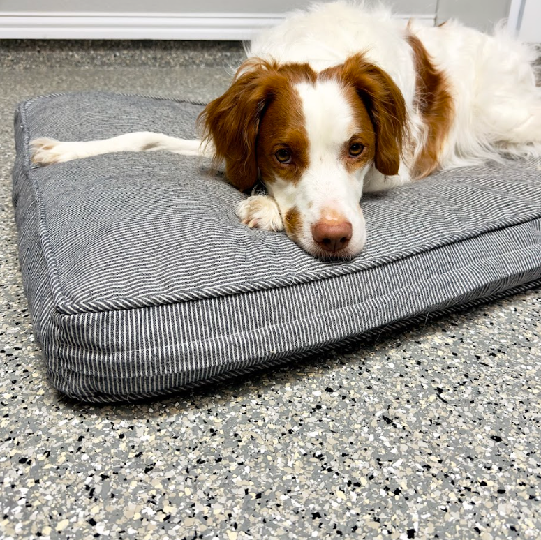 a brown and white dog is laying on a gray dog bed .